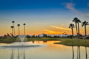5 golf courses 
