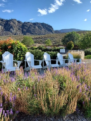 Terrasse/gårdhave