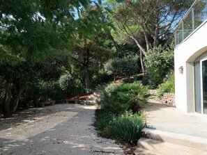 Propriété, Végétation, Paysage Naturel, Arbre, Zone Résidentielle, Immobilier, Jardin, Domicile, Botanique, Maison