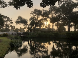 Sunrise at the Barrington oasis