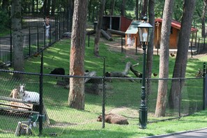 Holiday Park Facilities and Services 