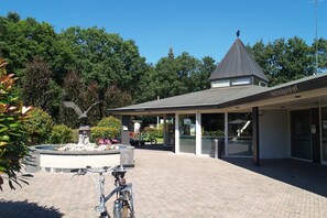 Immediate Surroundings [summer] (&lt;1 km)