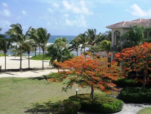 "Serenity by the Sea" building, just steps from the beach.

