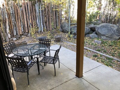 New to Vrbo: Riverfront Condo #1 w/patio, 1blk to town, Wifi, 40min WinterPark