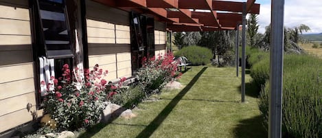 Front of cottage with pergola facing North with views of Lake Benmore