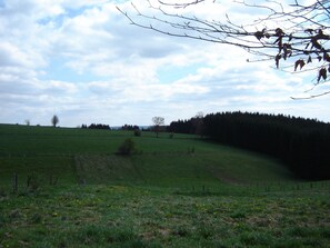 Terrain de l’hébergement 