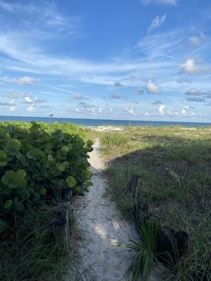 Pathway through the sea oats and sea grapes out to the beach.