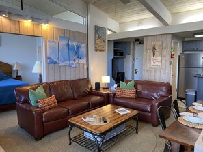 Pull Out Queen Couch