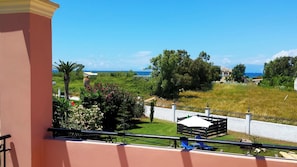 Just 250 meters from the virgin beach