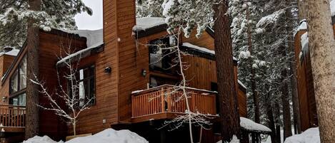 Cabin exterior in the epic snowfalls of January 2017. 