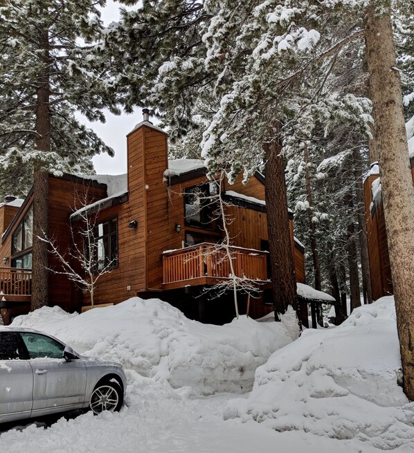 Cabin exterior in the epic snowfalls of January 2017. 