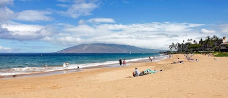 Kamaole beach II.  Amazing swimming beach with lifeguard.  Steps from our condo.