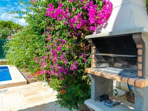 Blume, Eigentum, Pflanze, Haus, Bougainvillea, Zuhause, Grundeigentum, Jahr Plant, Magenta, Strauch