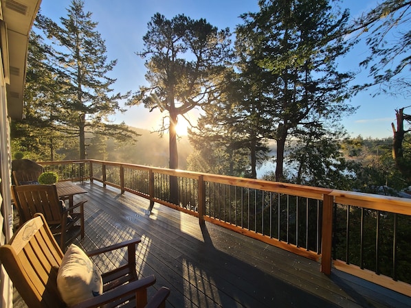 OverLOOK!!  Wrap-around deck offers 180° lake view, covered area and grill
