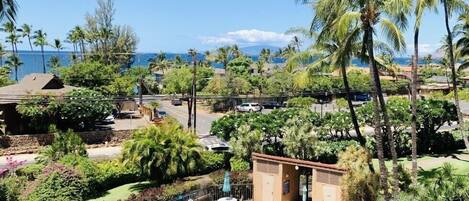 Beautiful Ocean View from Lanai