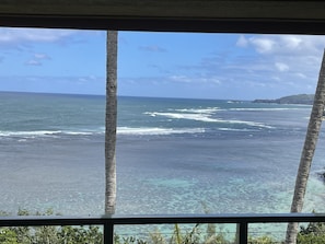 Coral reef on ocean front Lanai