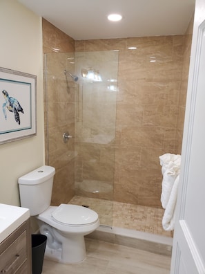 Gorgeous bathroom with glass shower wall and high end finishes.