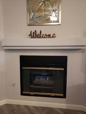 Cozy Gas Fireplace with Wall Switch