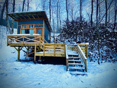 Camp Bigfun: Tiny Treehouse Cabin 