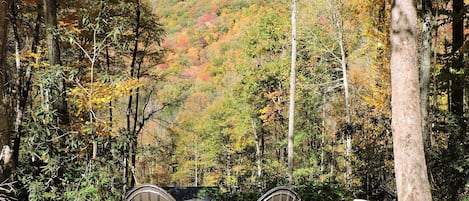 Firepit with view of Yellow Creek Mountains in October.