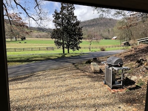 View from front porch.
