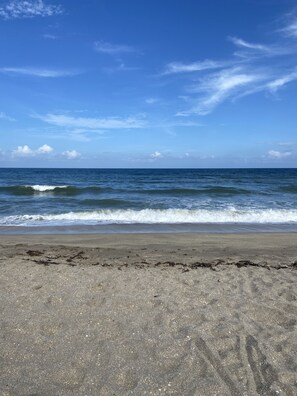 Private beautiful beach steps away from the condo 