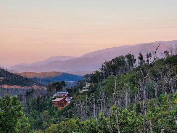 Welcome to Smoky Mountain Dreams