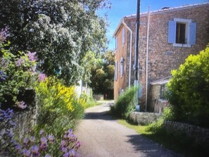 The Pink House from the lane