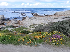 Coastal path.