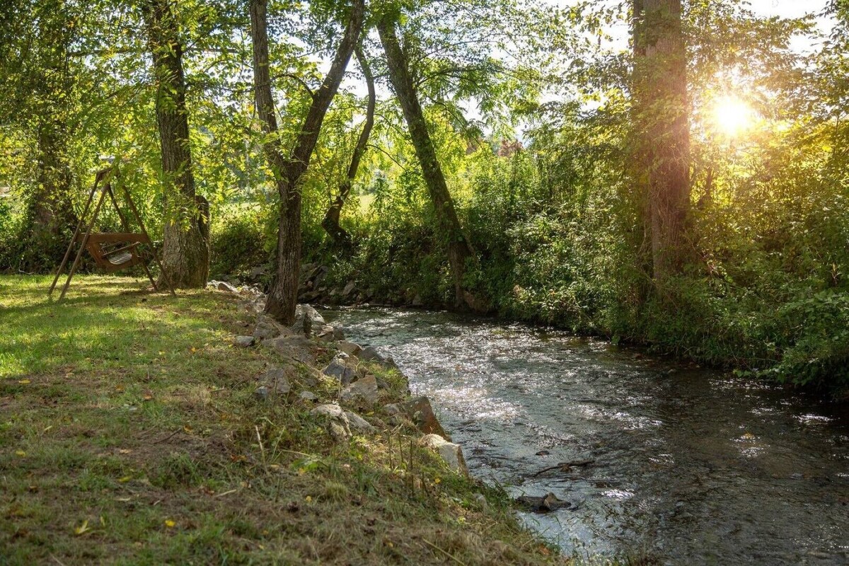 Creekside Cottages : Sneffles Mountain Luxury in Town