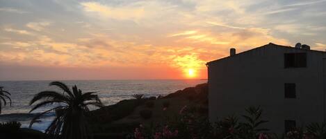 Beach/ocean view