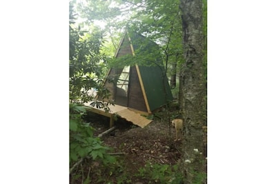 Camp Bigfun: Waterfront Tiny Cabin (A-frame)