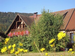 Front view