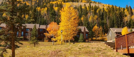 View from patio