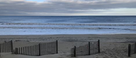 Strand