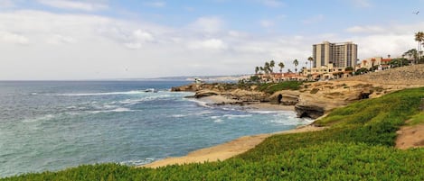 3-5 Minute Walk to Tide Pools and Sandy Beach.