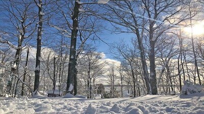 Whippoorwill Cottage