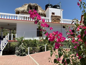 Casa El Delfin, view of back of the house from the secure private parking lot.