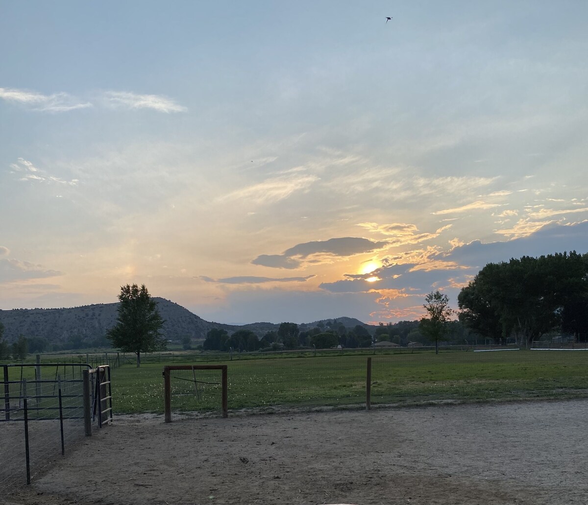 A Night with the Alpacas & Alpaca Experience!