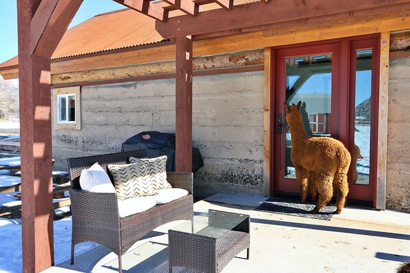 Maisie Mae welcomes you to "A Night with the Alpacas."  Rustic Little Cottage!