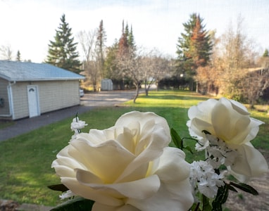 BEAUTIFUL FOUR SEASON WATERFRONT COTTAGE IN THE QUIET BAY!