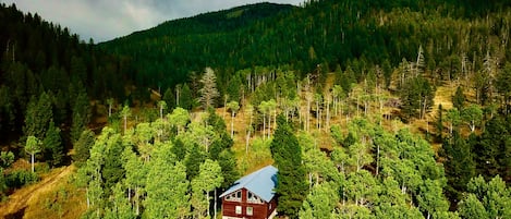 Overnatningsstedets område