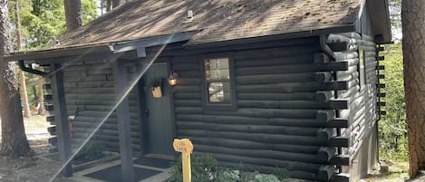 Authentic log cabin surrounded by mature pines