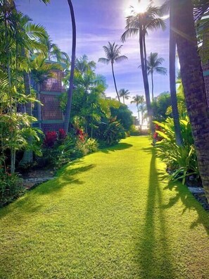 Jardines del alojamiento