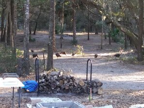  Indigenous Cleaning Crew at Work 