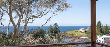 Sweeping ocean views in the treeline