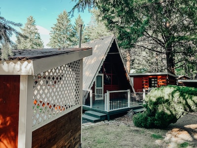 Cute & Cozy Packwood Cabin with Private Hot Tub!