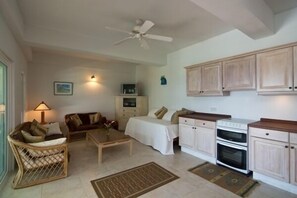Kitchen Living area