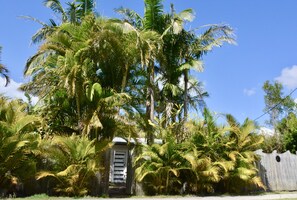 Street View of Paradise Palms