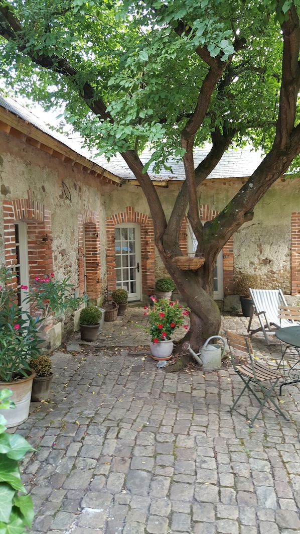 Terraço/pátio interior